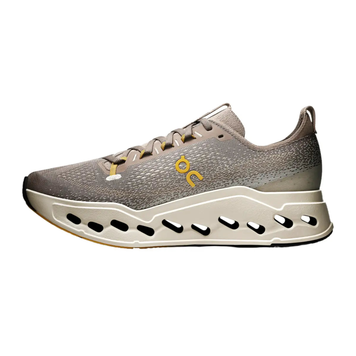 Cloudsurfer Max for Every Adventure